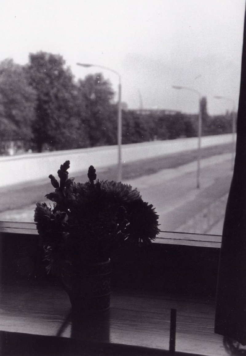 Blumenstrauß vor Fenster mit Blick auf Grenzstreifen